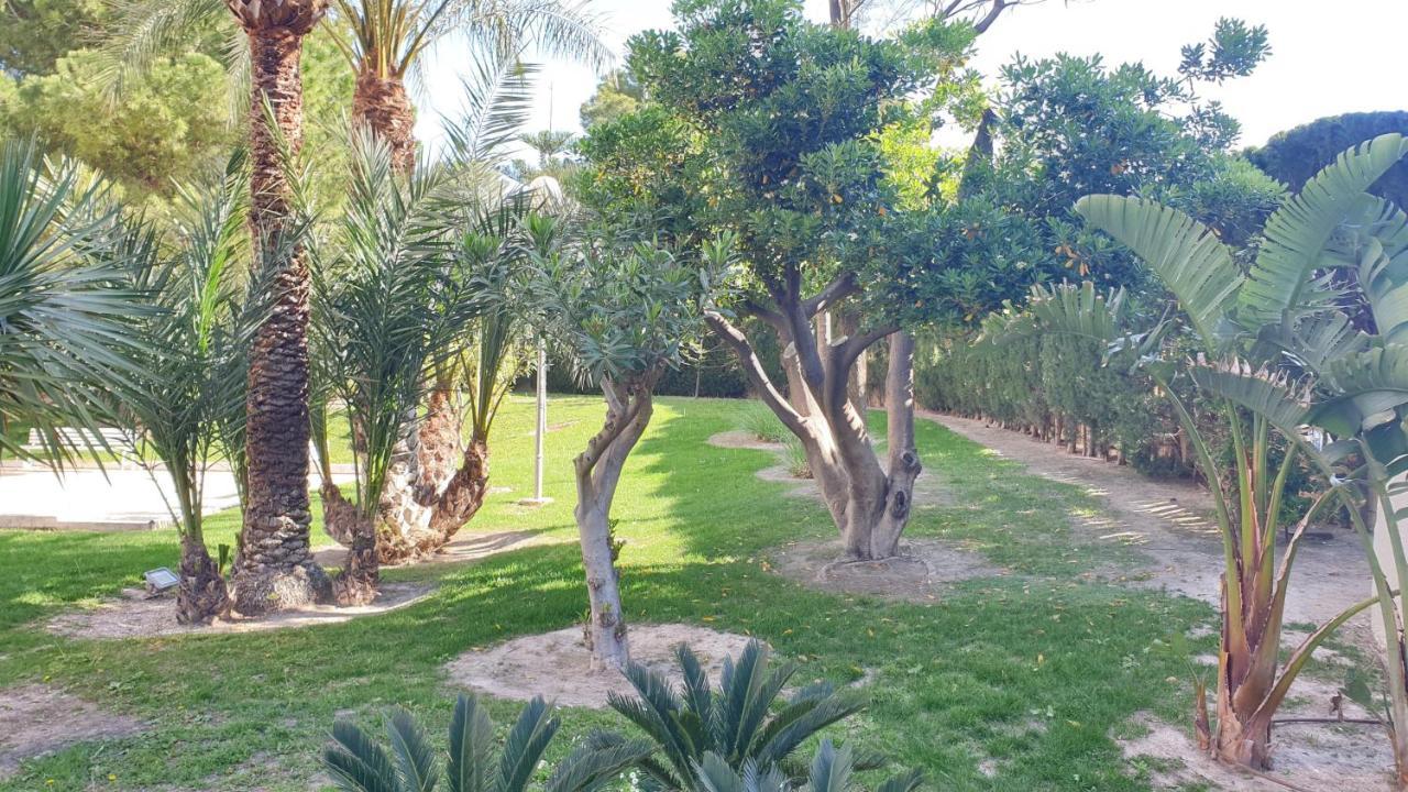 Relax Frente Al Mar De Alicante Apartment Ngoại thất bức ảnh